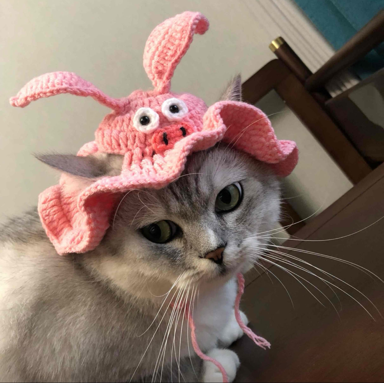 【HandMade】Crocheted Pig-Themed Pet Clothes