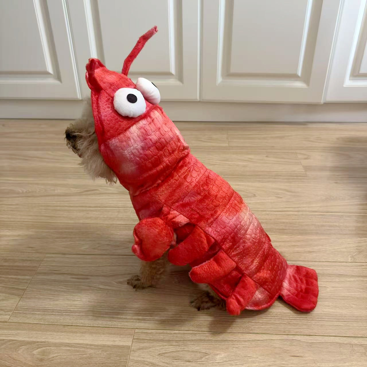 Lobster Pet Clothes