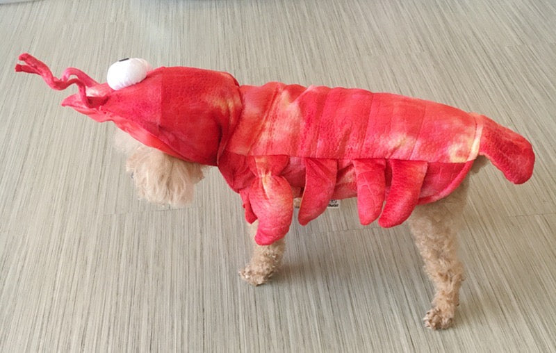 Lobster Pet Clothes