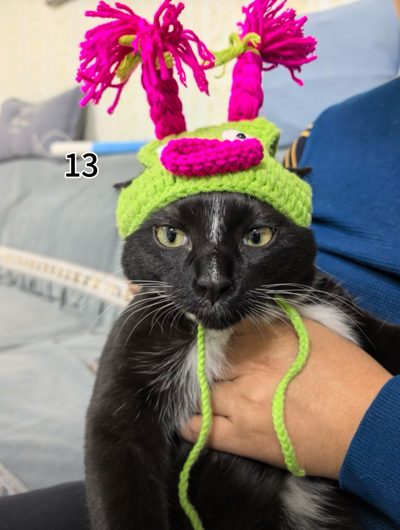 【HandMade】Crocheted  pet hat